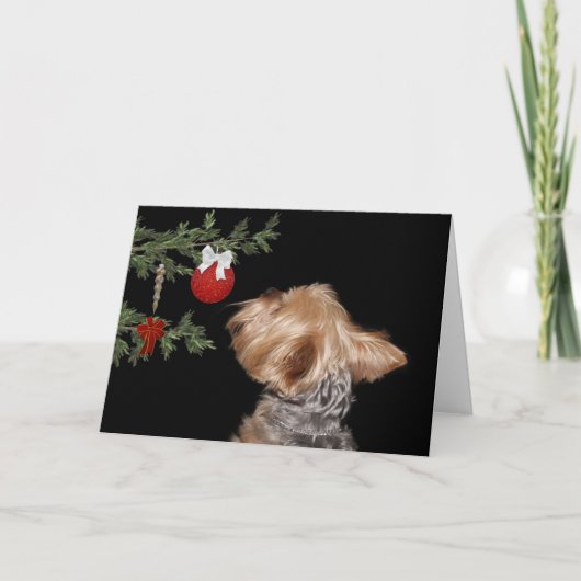 Verleide Kerstmis Yorkie Feestdagen Kaart (Voorkant)