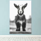 Verleidelijk monochromatische sierlijke Baby geite Canvas Afdruk (Insitu (Houten vloer))