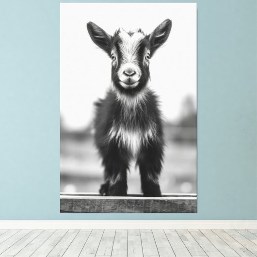Verleidelijk monochromatische sierlijke Baby geite Canvas Afdruk (Insitu (Houten vloer))