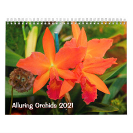 Verleidelijke Orchideeën 2021 Kalender