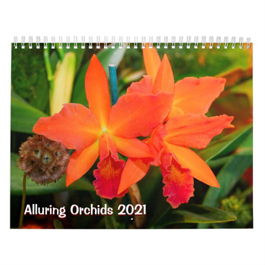 Verleidelijke Orchideeën 2021 Kalender (Hoes)