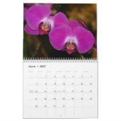 Verleidelijke Orchideeën 2021 Kalender (Mar 2027)