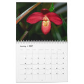 Verleidelijke Orchideeën 2021 Kalender (Jan 2027)