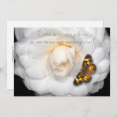 Verlenging van de weduwen/Camellia-Butterfly Kaart (Voorkant / Achterkant)