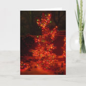 Verlicht de nacht feestdagen kaart (Voorkant)