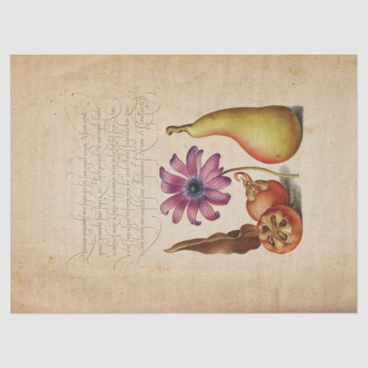 Verlicht Manuscript Calligraphy Tissue Paper Tissuepapier (Voorkant)