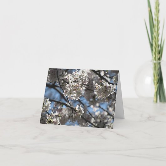 Verlichtde Cherry Blossom Notecard Bedankkaart (Voorkant)