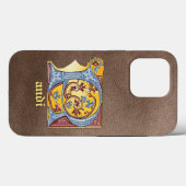 Verlichtde middeleeuwse blauwe en rode ijsheek let Case-Mate iPhone case (Achterkant (horizontaal))