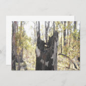 Verlichte drie Kaart (Voorkant / Achterkant)