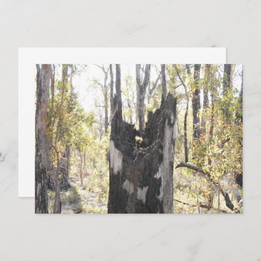 Verlichte drie Kaart (Voorkant / Achterkant)