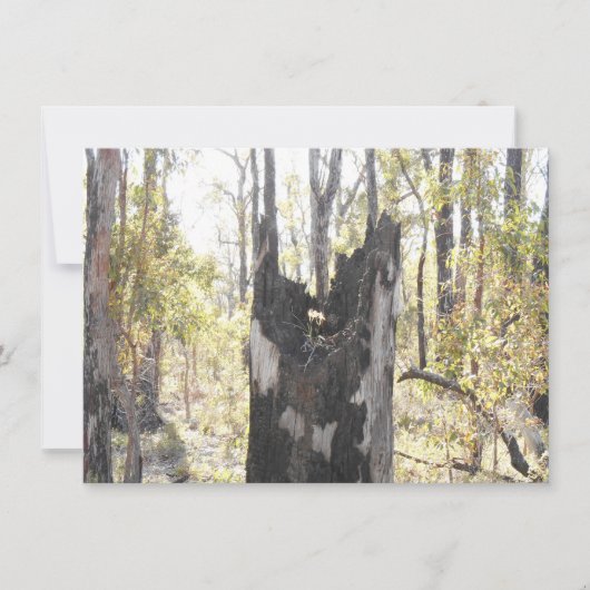 Verlichte drie Kaart (Voorkant)