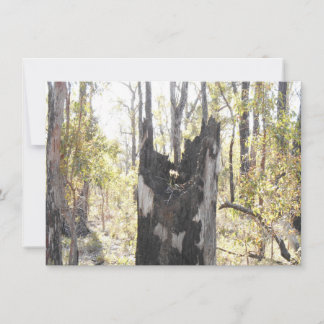 Verlichte drie Kaart