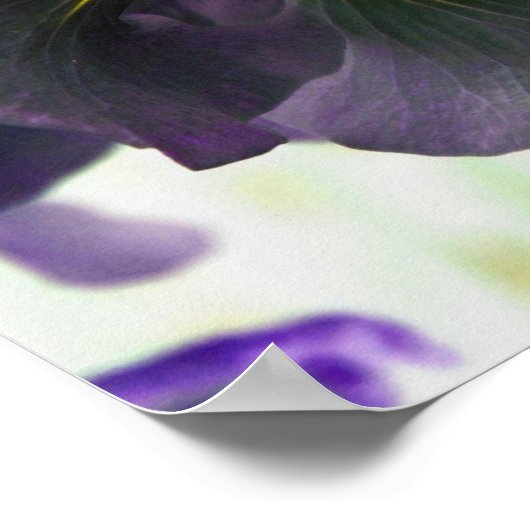 Verlichte Japanse Iris Floral Print (Hoek)