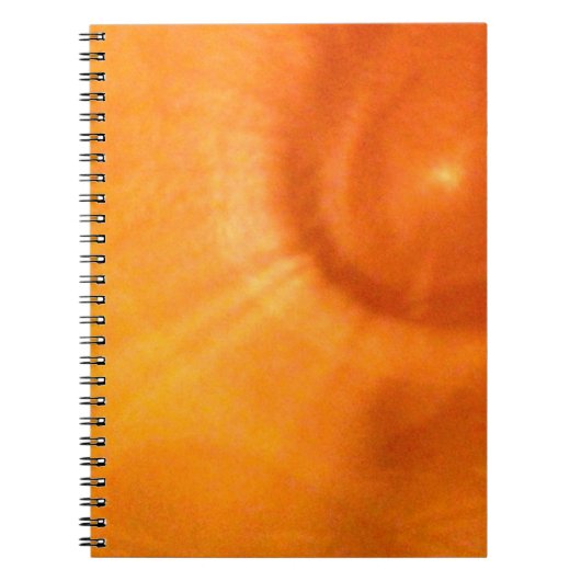 Verlichte oranje werveling notitieboek (Voorkant)
