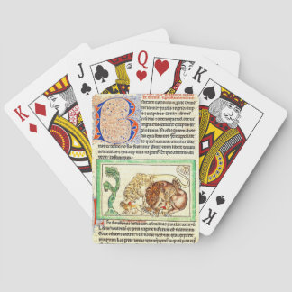 Verlichte pagina 1250 pokerkaarten
