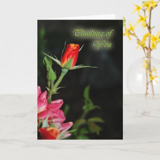 Verlichte roos condoleance wenskaart kaart (Gele Bloem)