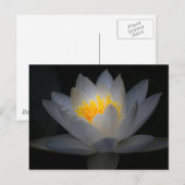 verlichting briefkaart (Voorkant / Achterkant)