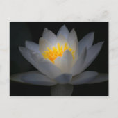 verlichting briefkaart (Voorkant)