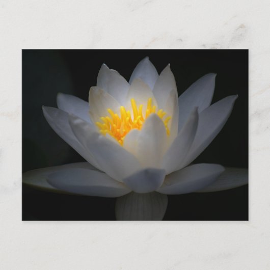 verlichting briefkaart (Voorkant)