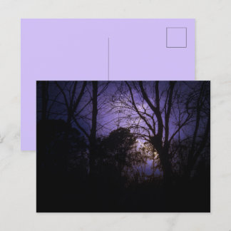 Verlichting in het Briefkaart bomen