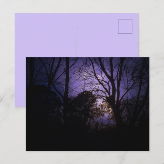 Verlichting in het Briefkaart bomen (Voorkant / Achterkant)