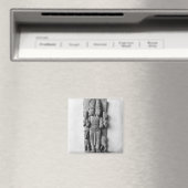 Verlichting met een dubbelzijdig afbeelding van Ag Magneet (Insitu (Vaatwasser))