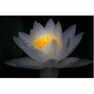 verlichting staand fotobeeldje