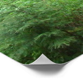 Verlichting van de bomen poster (Hoek)