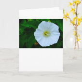 Verlichting van de Natuur, Kaart (Gele Bloem)