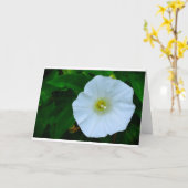 Verlichting van de Natuur, Kaart (Gele Bloem)