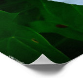 Verlichting van de Natuur Poster (Hoek)