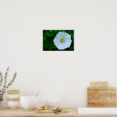 Verlichting van de Natuur Poster (Keuken)