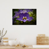 Verlichting van de Natuur Poster (Keuken)