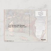 Verlichting van de sint-klare door Lorenzo Lotto Briefkaart (Achterkant)