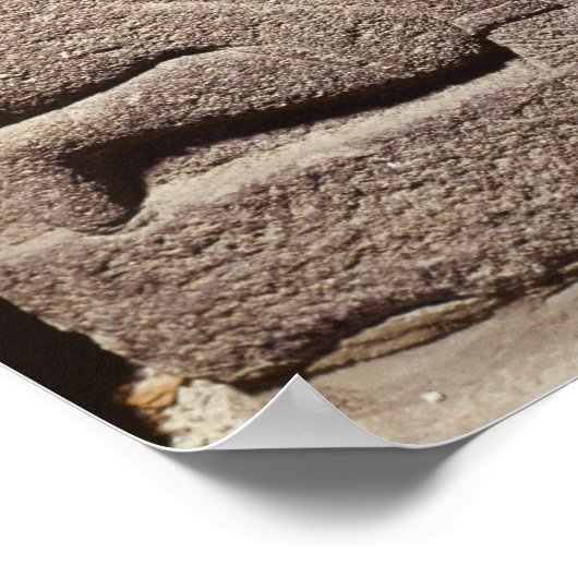 Verlichting van de zoon van King Araras Poster (Hoek)