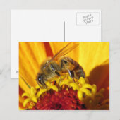 Verlichtingsbijen dicht bij elkaar briefkaart (Voorkant / Achterkant)