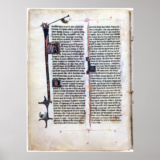 Verlichtingspagina van de Artrische Romance. Poster (Voorkant)