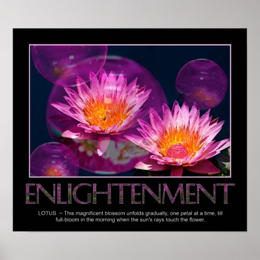 VerlichtingsPoster - Waterlily - Lotus Poster (Voorkant)