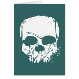 Verlichtingssterkte romp