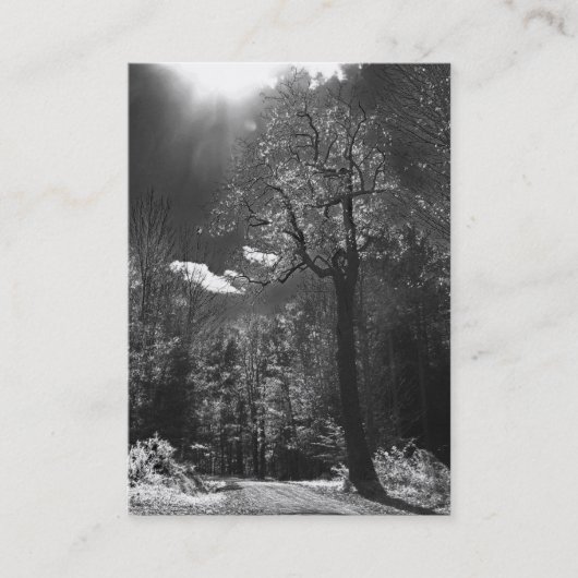 Verlichtingsstructuur ATC Visitekaartje (Voorkant)