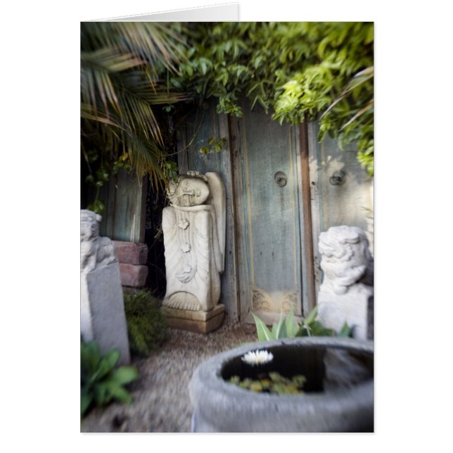 Verlichtingstuin (Voorkant)