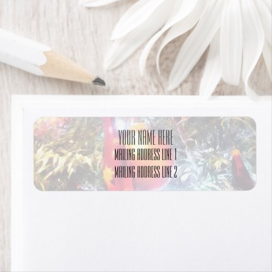 Verlichtingsversieringen Etiket (Insitu)