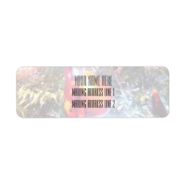 Verlichtingsversieringen Etiket