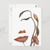 Verlichtingsvlakte Briefkaart (Voorkant / Achterkant)