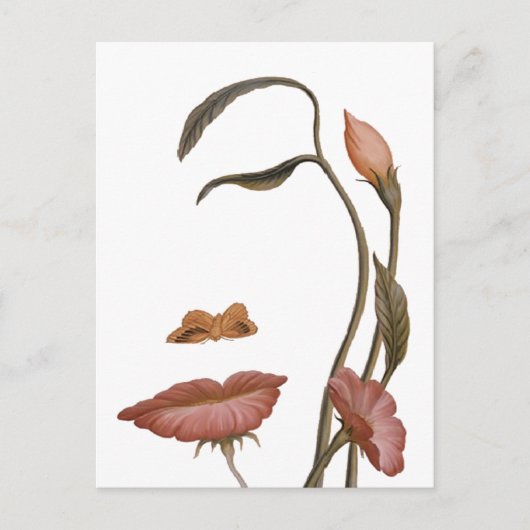 Verlichtingsvlakte Briefkaart (Voorkant)