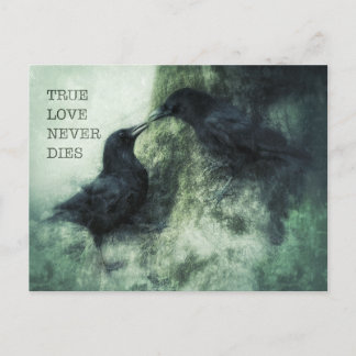 Verliebte Krähen True Love Never Dies Liebe Raben Briefkaart