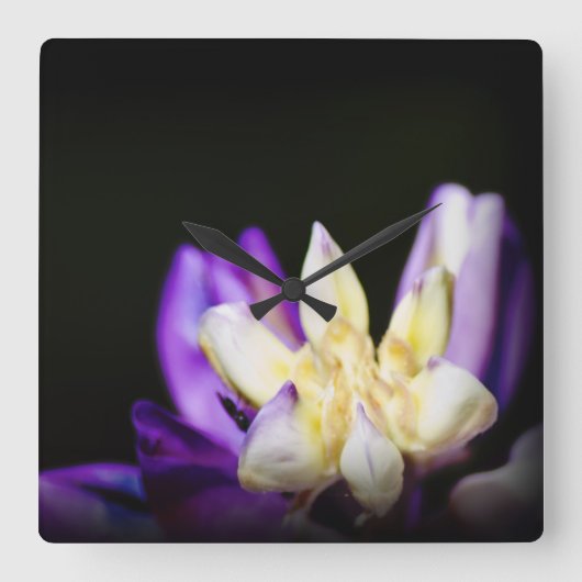 Verliefd op Lupine Vierkante Klok (Voorkant)