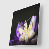 Verliefd op Lupine Vierkante Klok (Hoek)