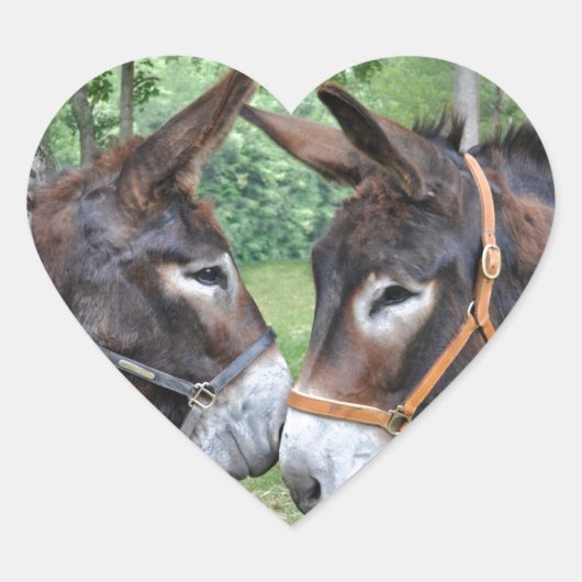 Verliefde ezels hart sticker (Voorkant)