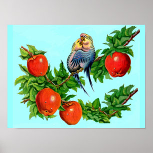 verliefde parkieten poster